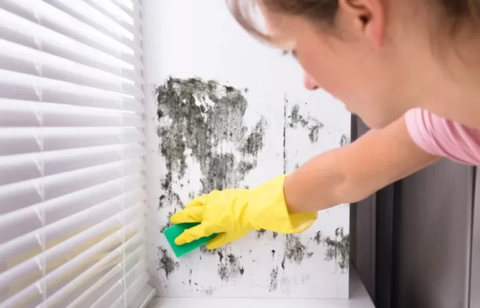 Tips-on-how-to-get-rid-of-mold