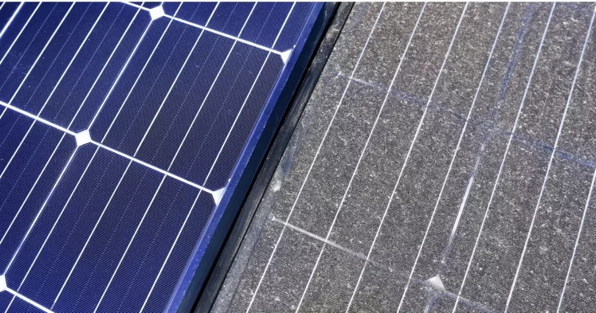 Solar Panel Cleaning