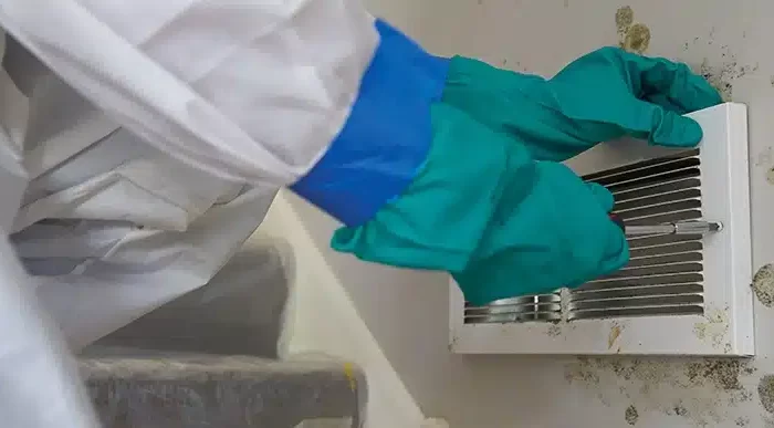 mold remediation