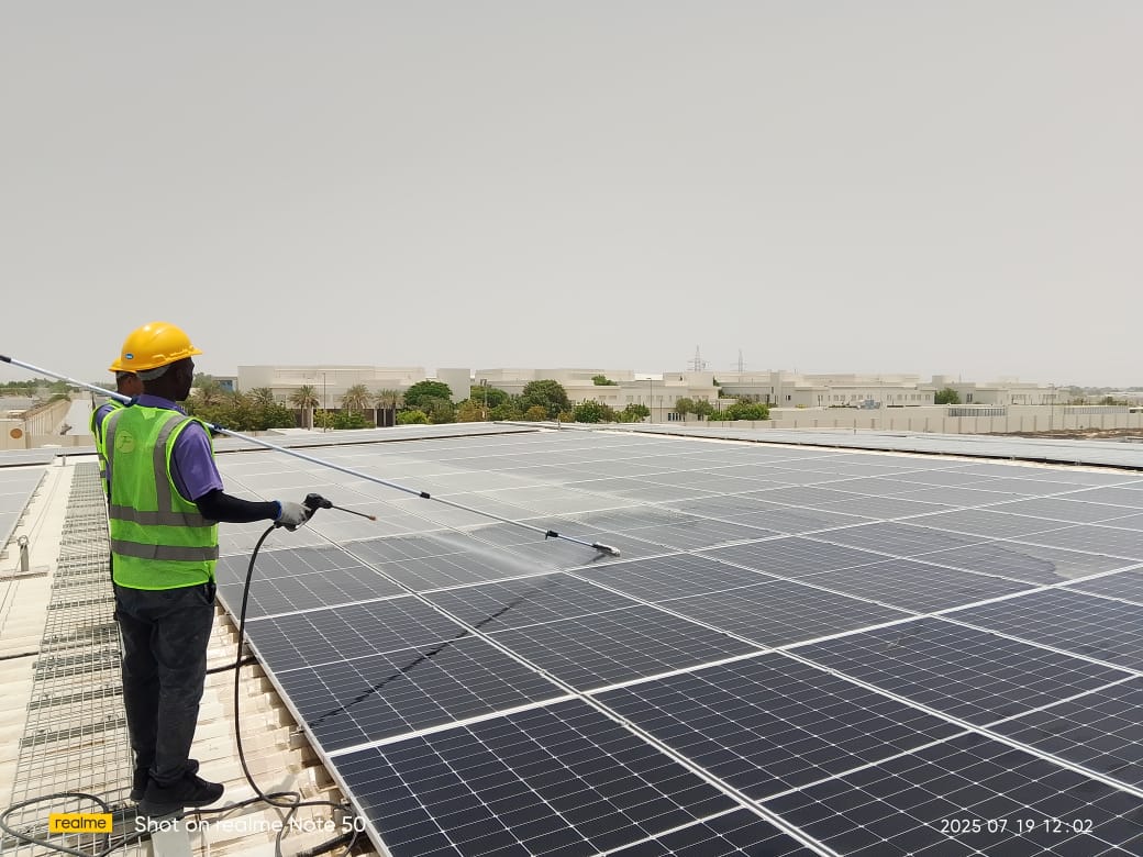 Solar panel cleaning